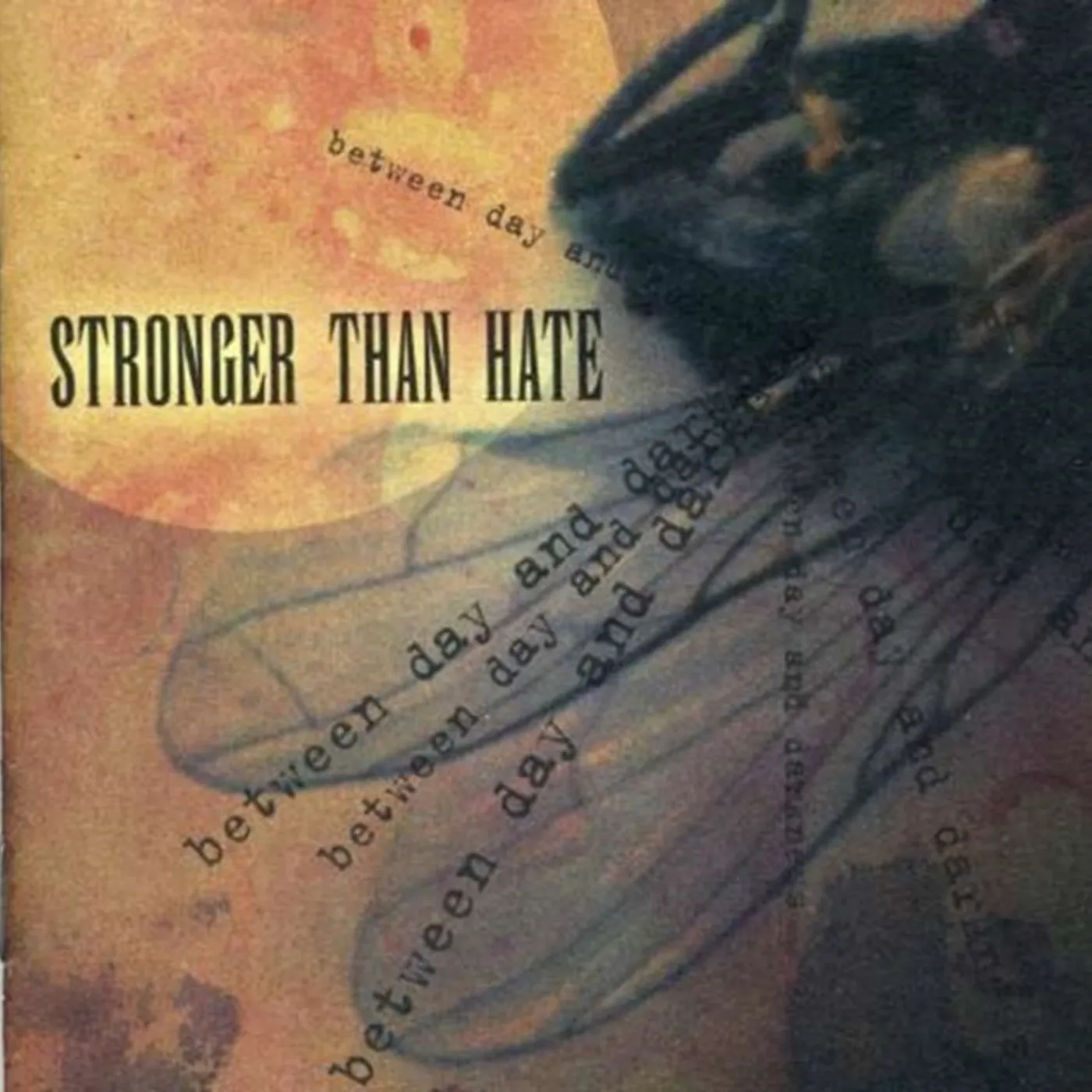 Stronger Than Hate CD - Between Day And Darkness