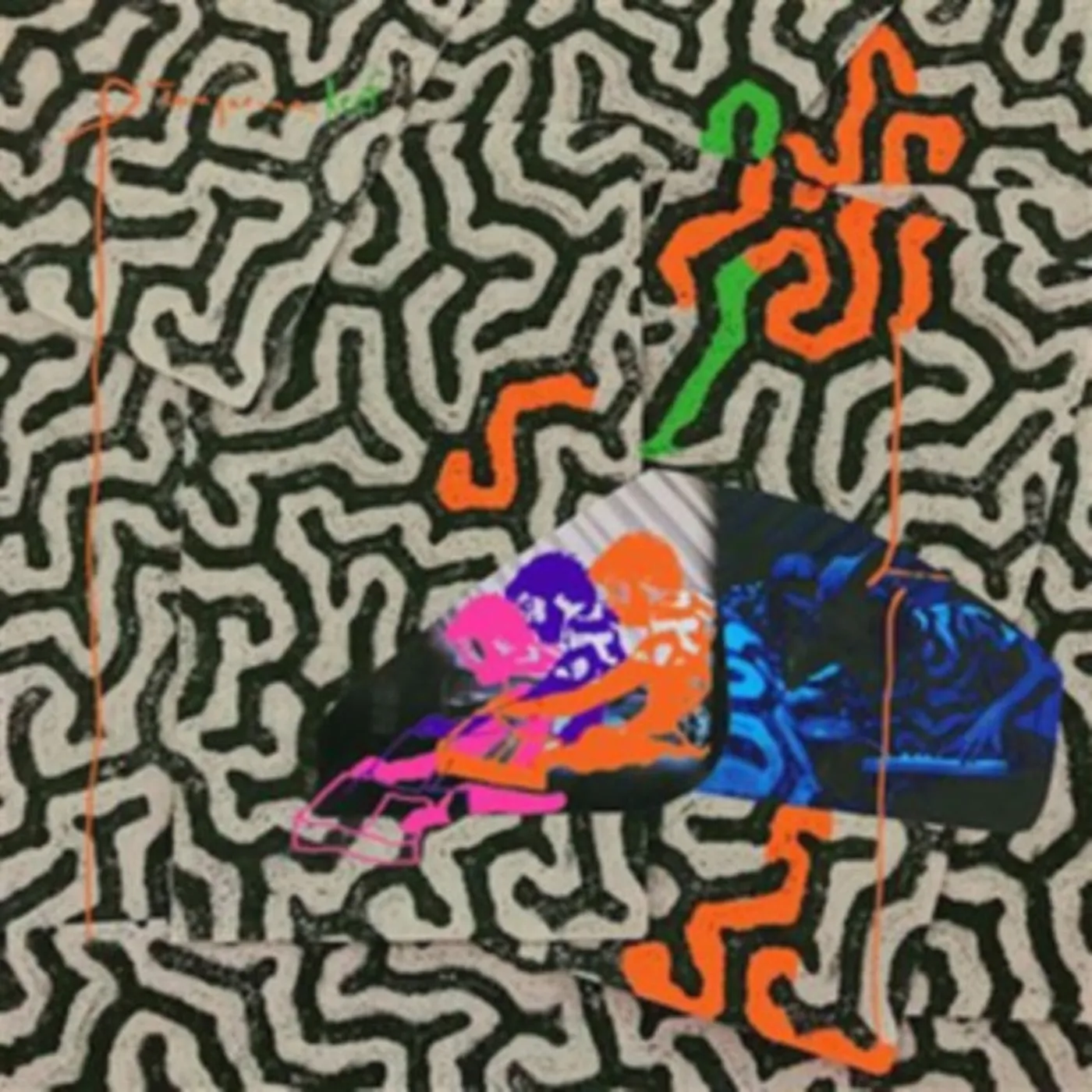 Animal Collective CD - Tangerine Reef