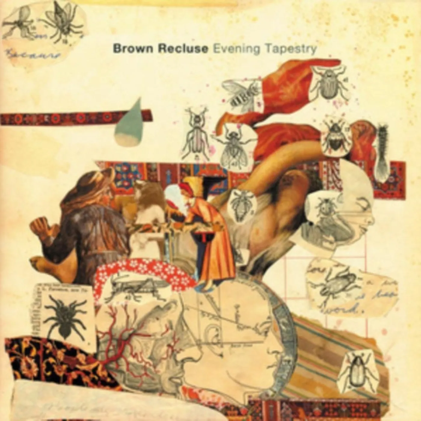 Brown Recluse CD - Evening Tapestry