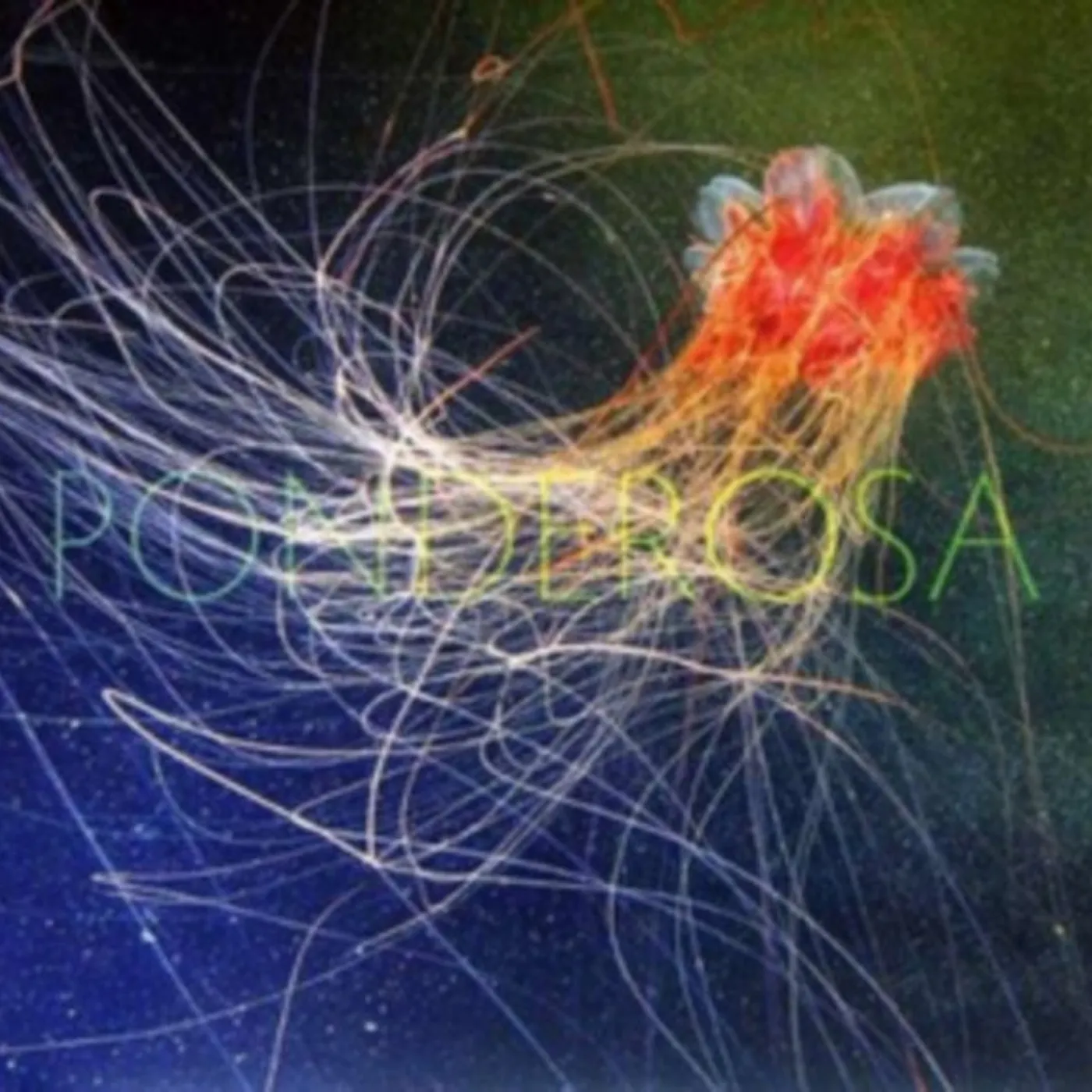 Ponderosa CD - Pool Party