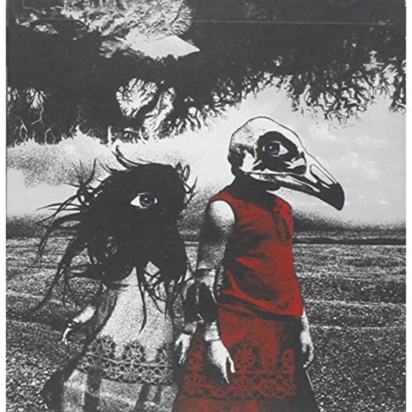 Standard CD - Albatross