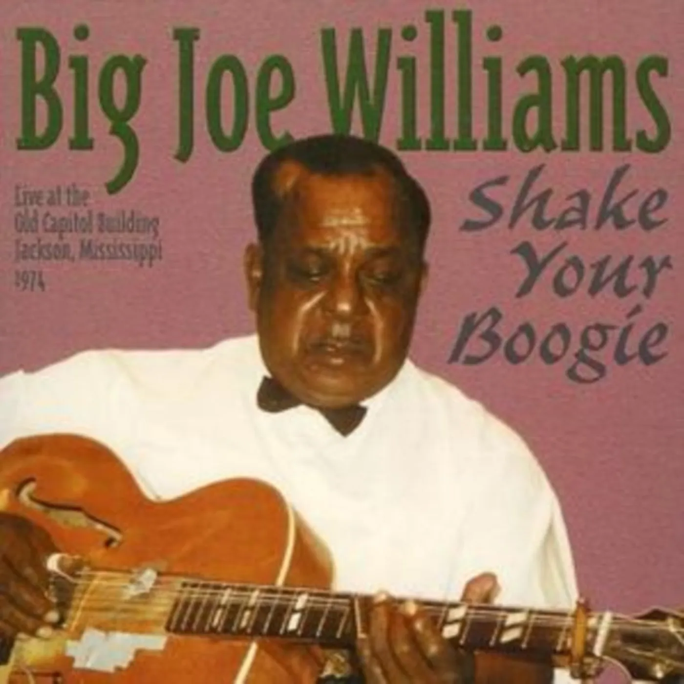 Big Joe Williams CD - Shake Your Boogie