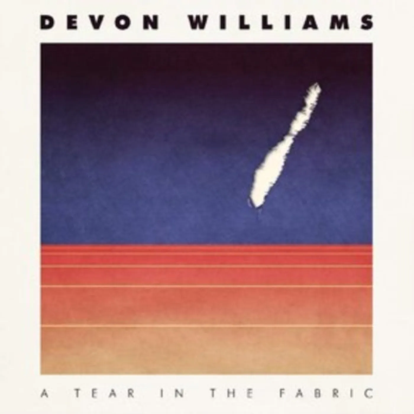 Devon Williams CD - A Tear In The Fabric