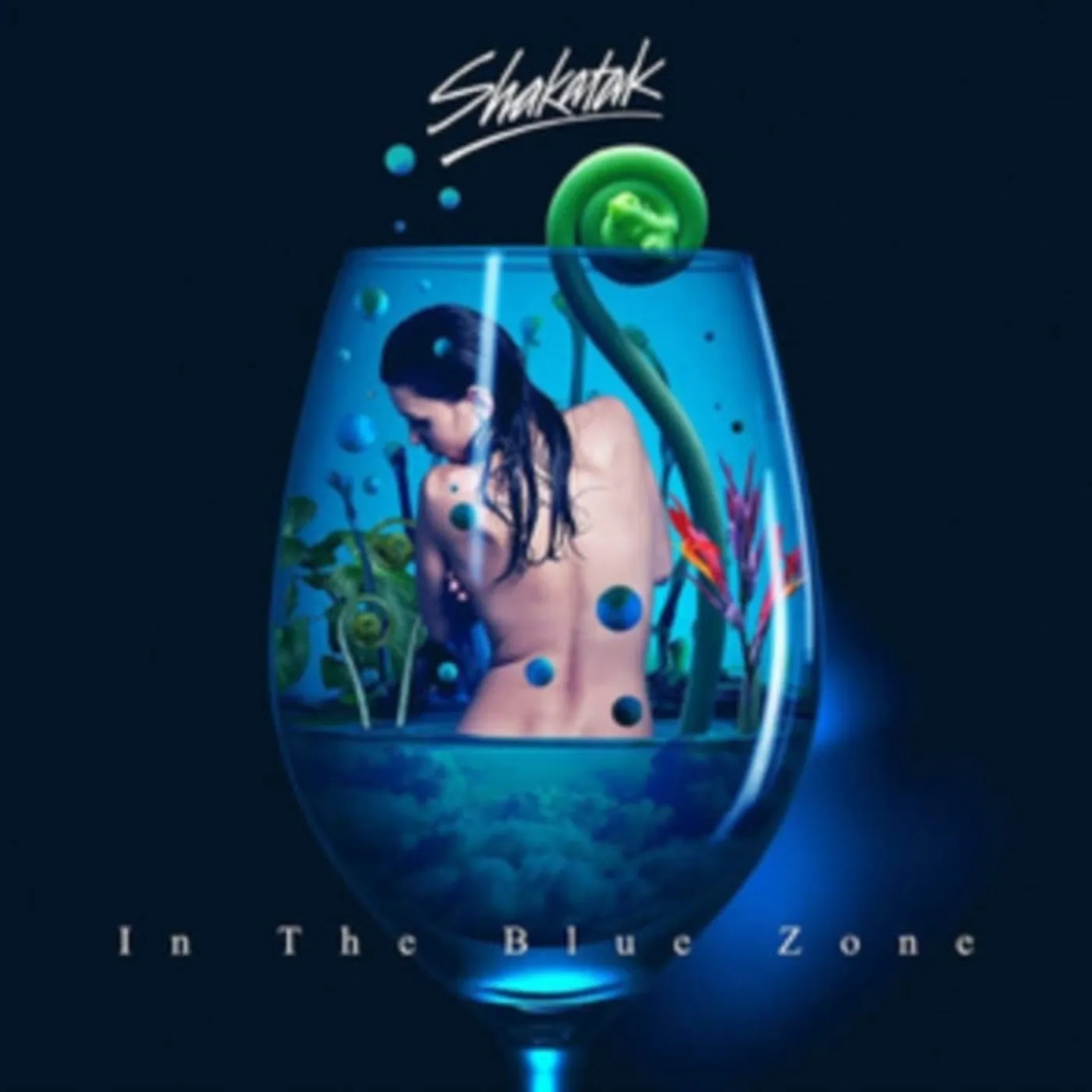 Shakatak CD - In The Blue Zone