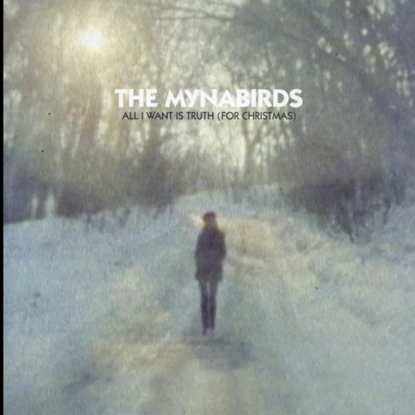 The Mynabirds 7Inch - All I Want Is Truth