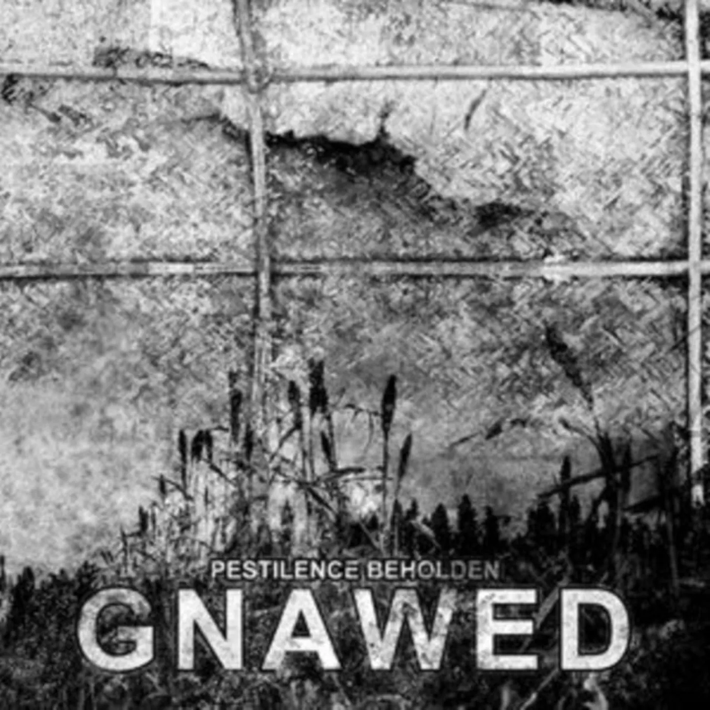 Gnawed CD - Pestilence Beholden