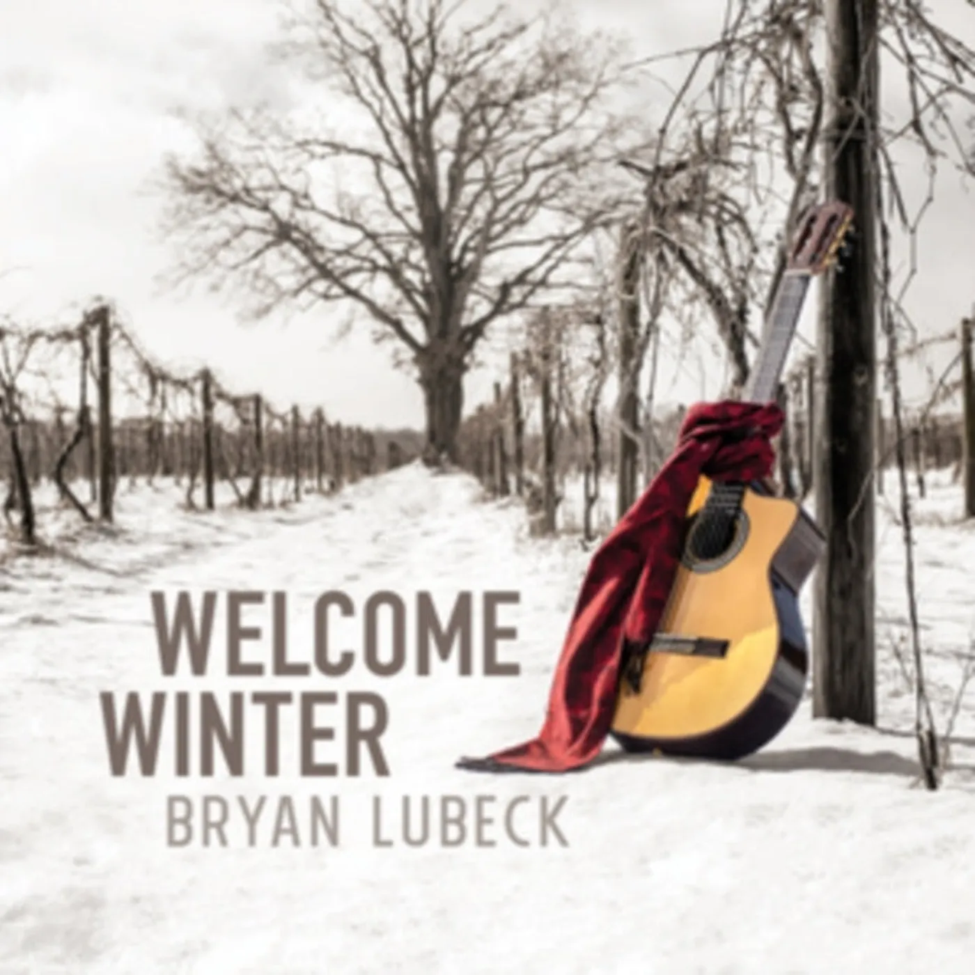 Bryan Lubeck CD - Welcome Winter