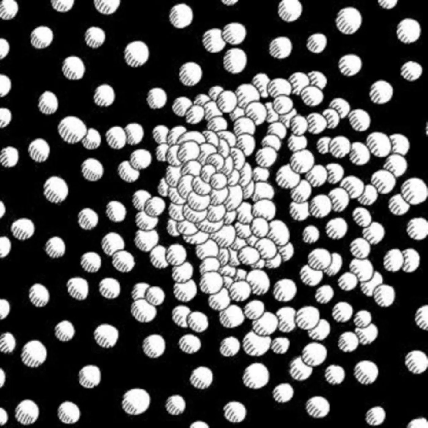 Evening Hymns 7Inch - Northern Arm