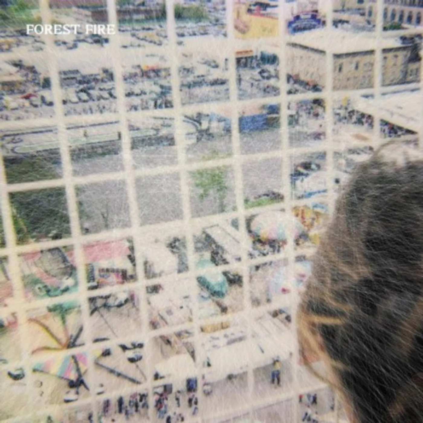 Forest Fire CD - Staring At The X