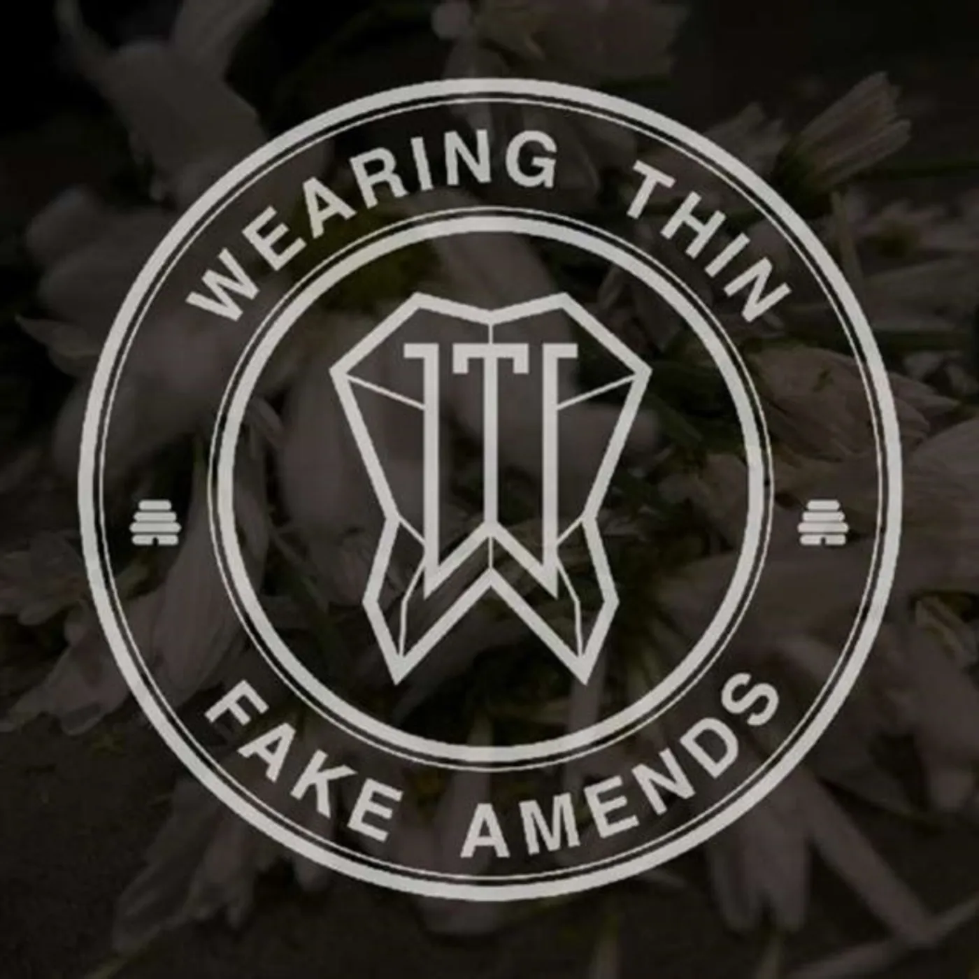 Wearing Thin CD - Fake Amends