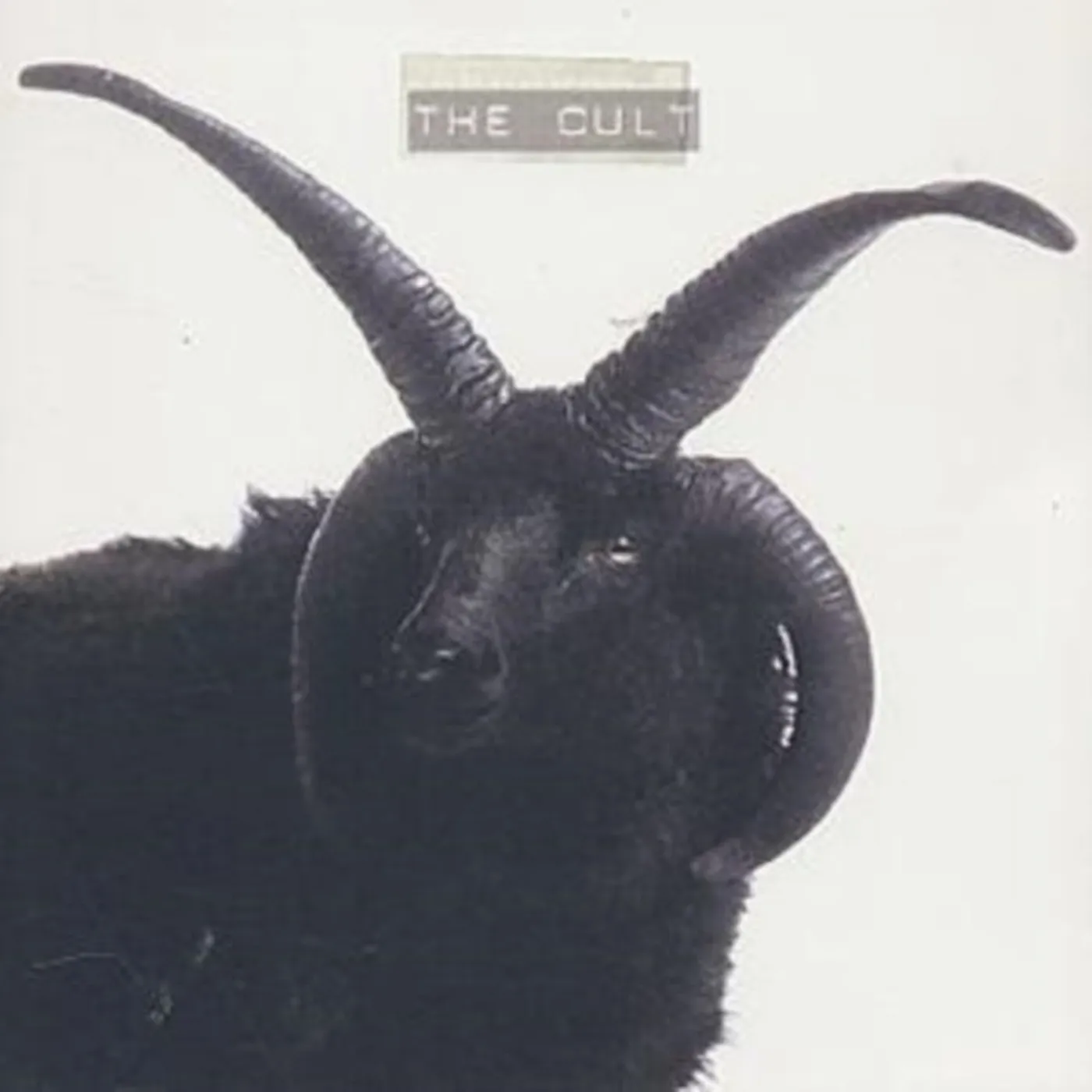 Cult CD - Cult