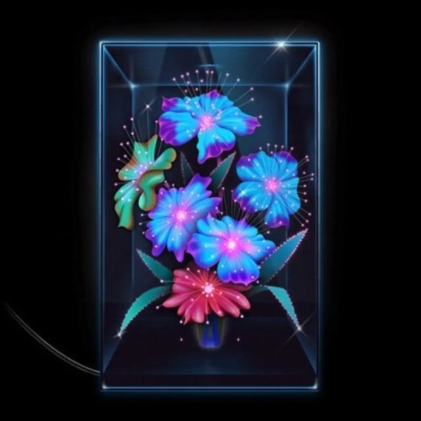 Xenia Rubinos CD - Una Rosa