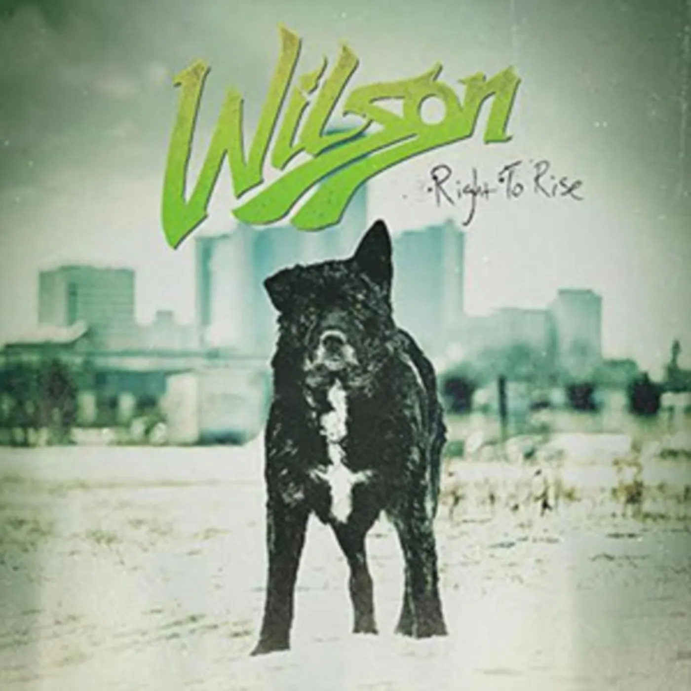 Wilson CD - Right To Rise