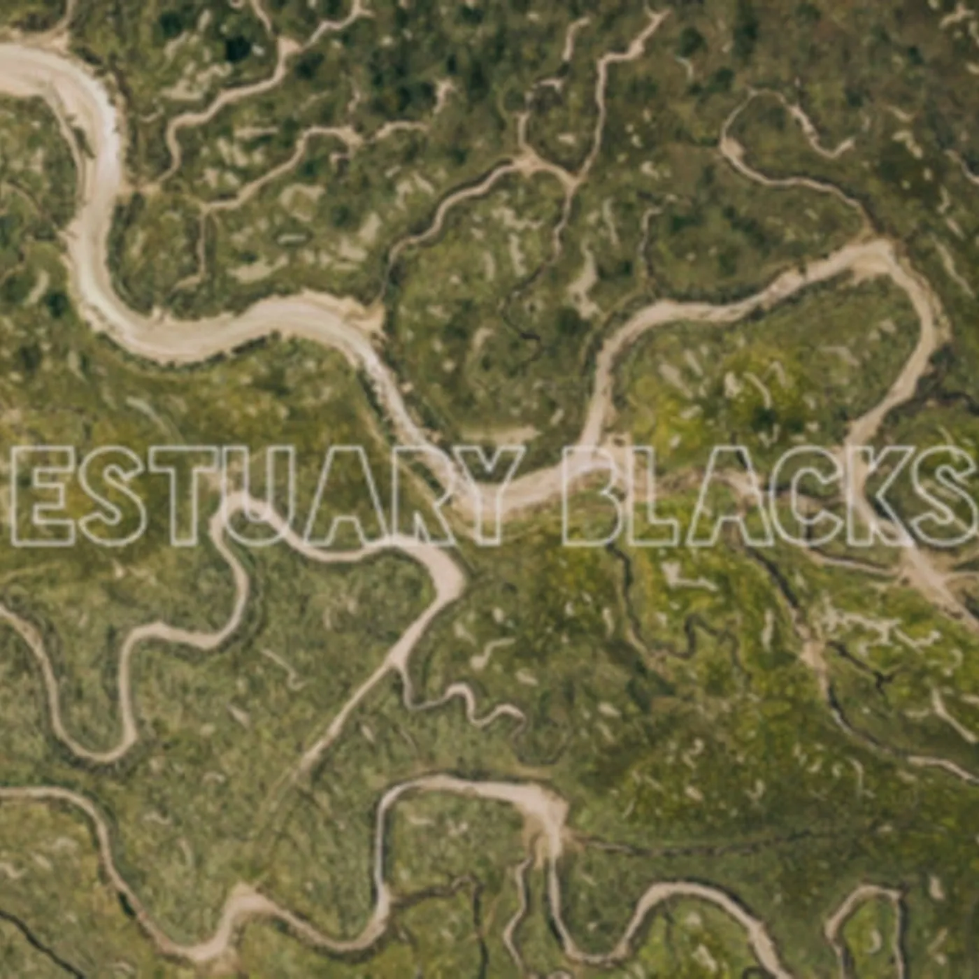 Estuary Blacks CD - Estuary Blacks