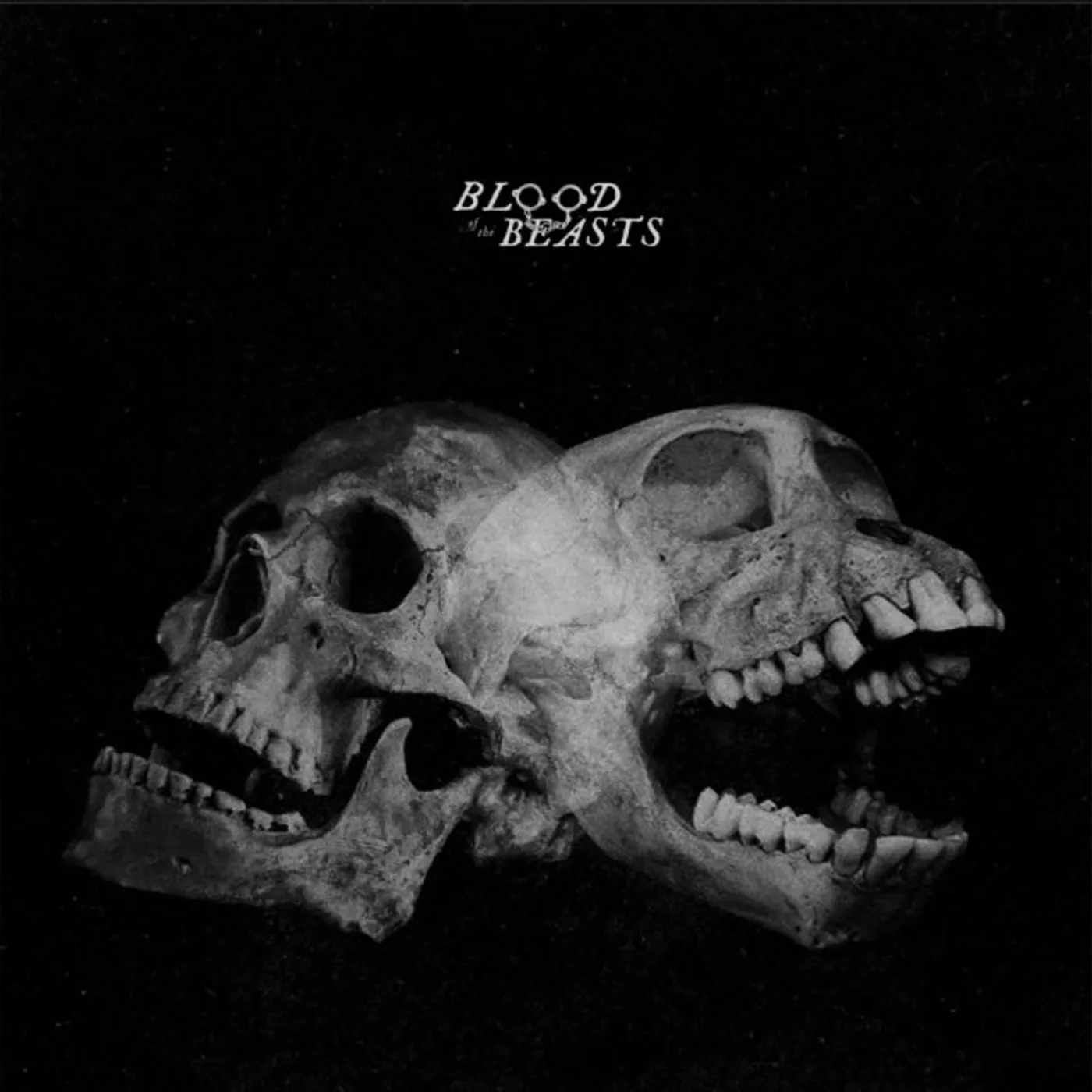 Sect CD - Blood Of The Beasts
