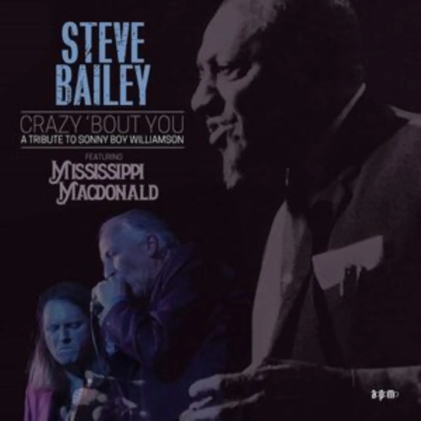 Steve Bailey CD - Crazy Bout You: A Tribute To Sonny Boy Williamson (Feat. Mississippi Macdonald)