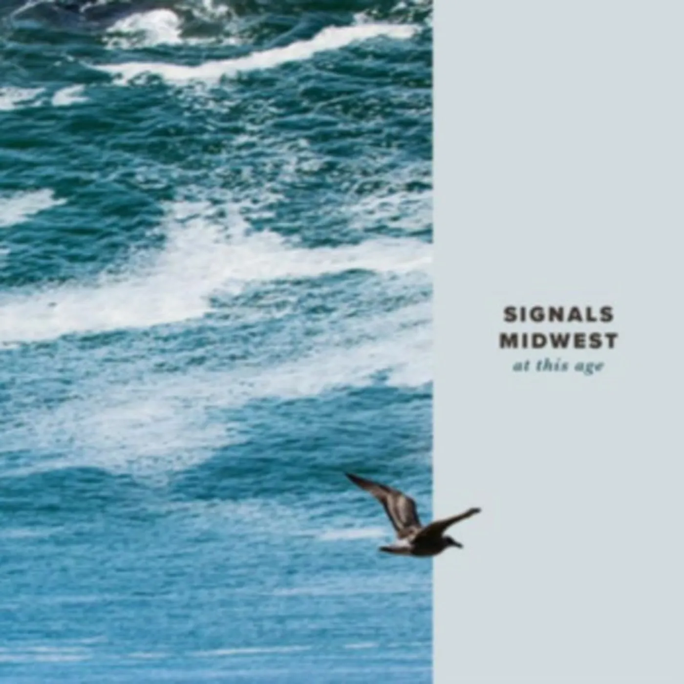 Signals Midwest CD - At This Age