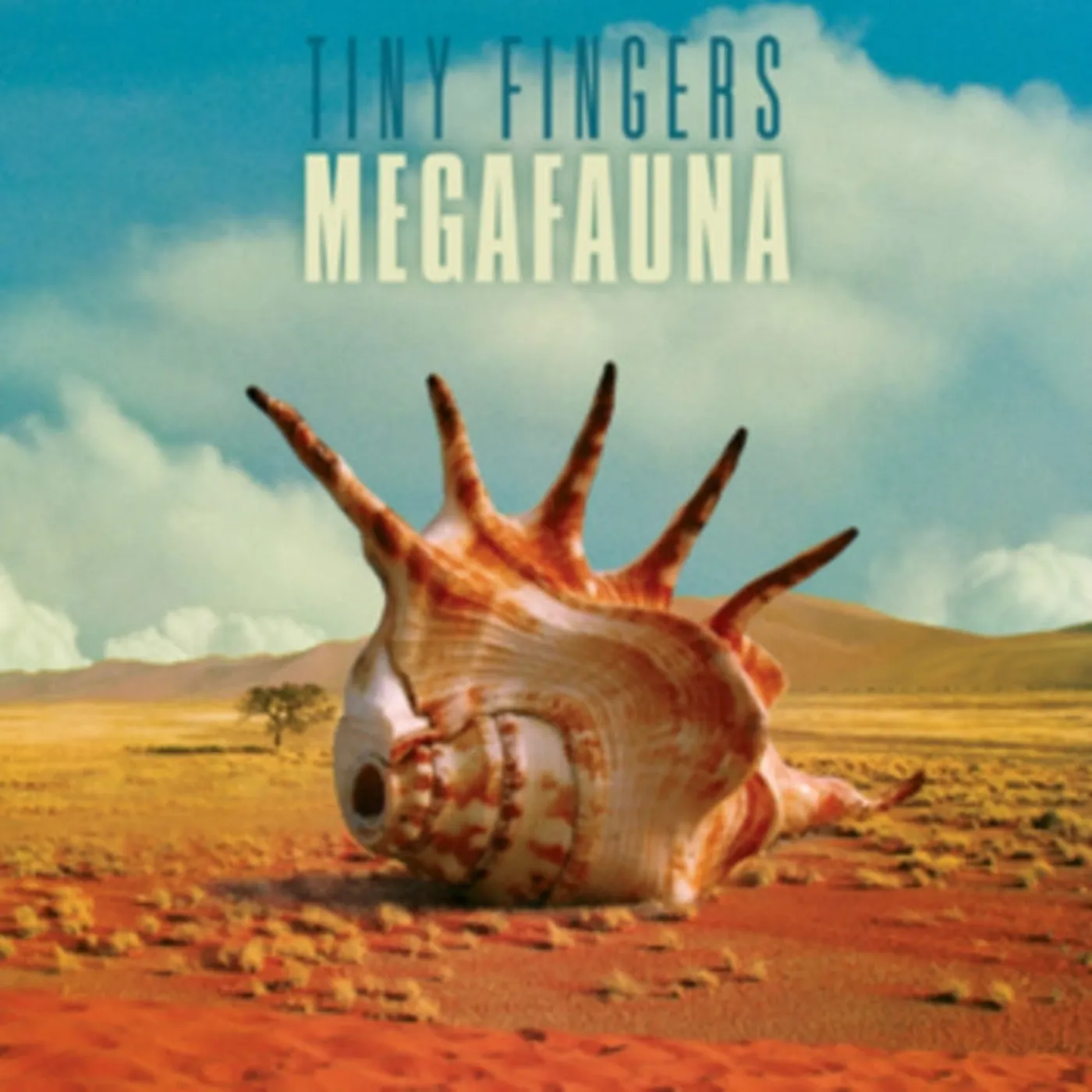 Tiny Fingers CD - Megafauna