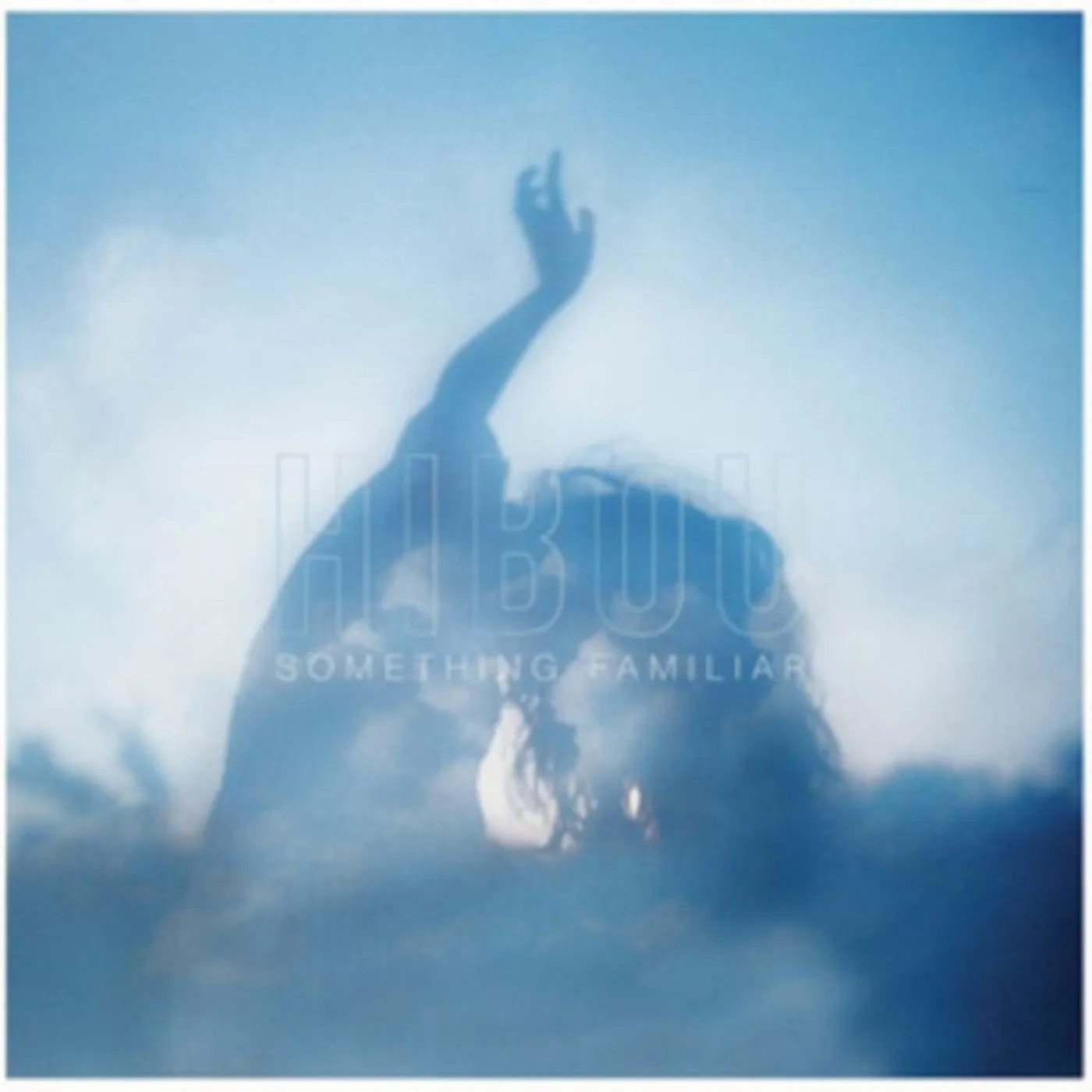 Hibou CD - Something Familiar