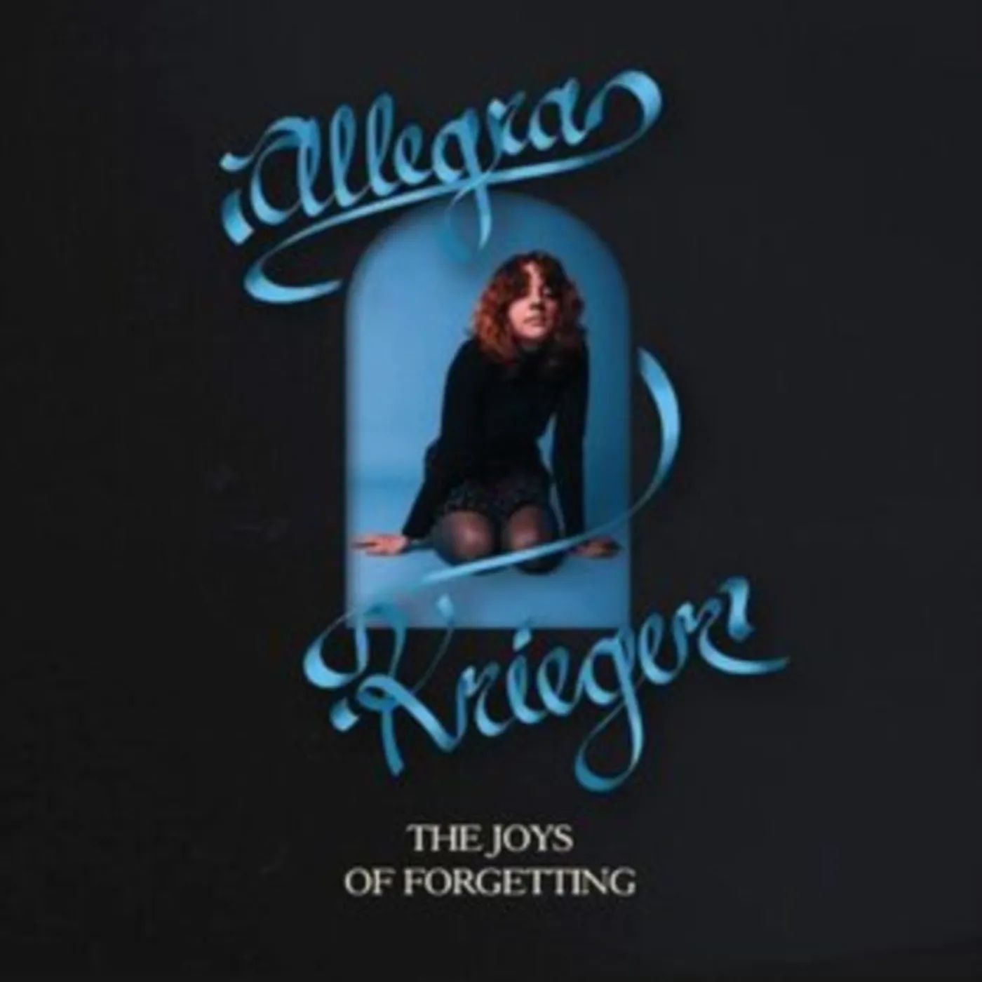 Allegra Krieger CD - The Joys Of Forgetting