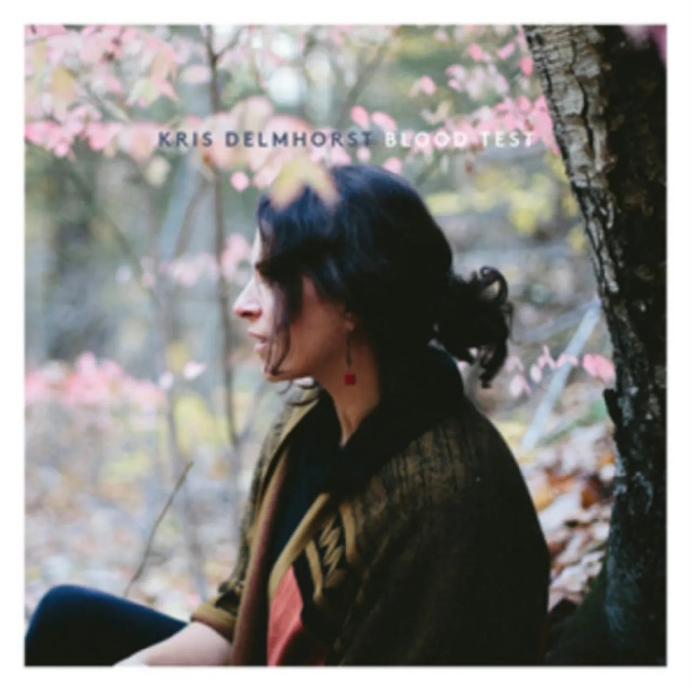 Kris Delmhorst CD - Blood Test