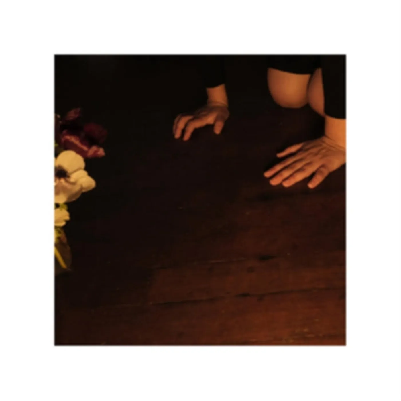 Sally Decker CD - In The Tender Dream