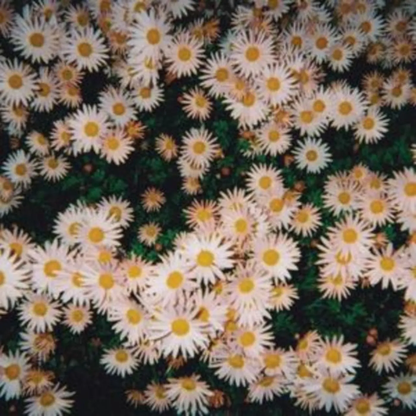 Bad Bad Hats CD - Bad Bad Hats