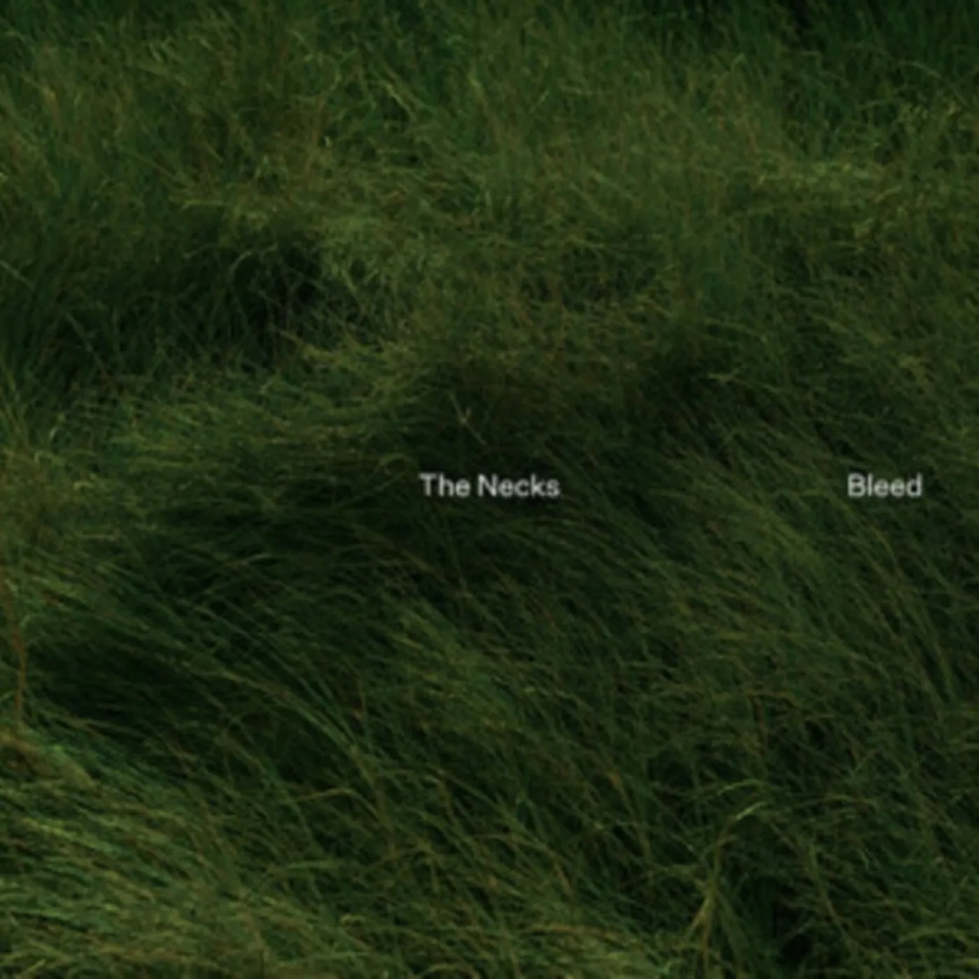 The Necks CD - Bleed
