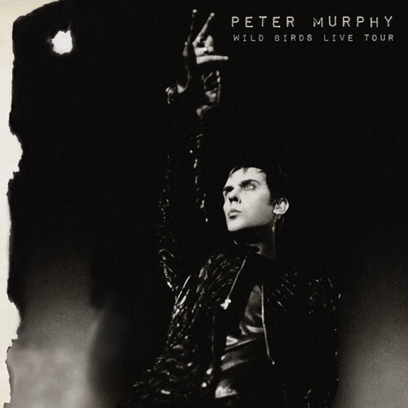 Peter Murphy LP Vinyl - Wild Birds Live Tour (Purple & Black) (Blk) (Colv)