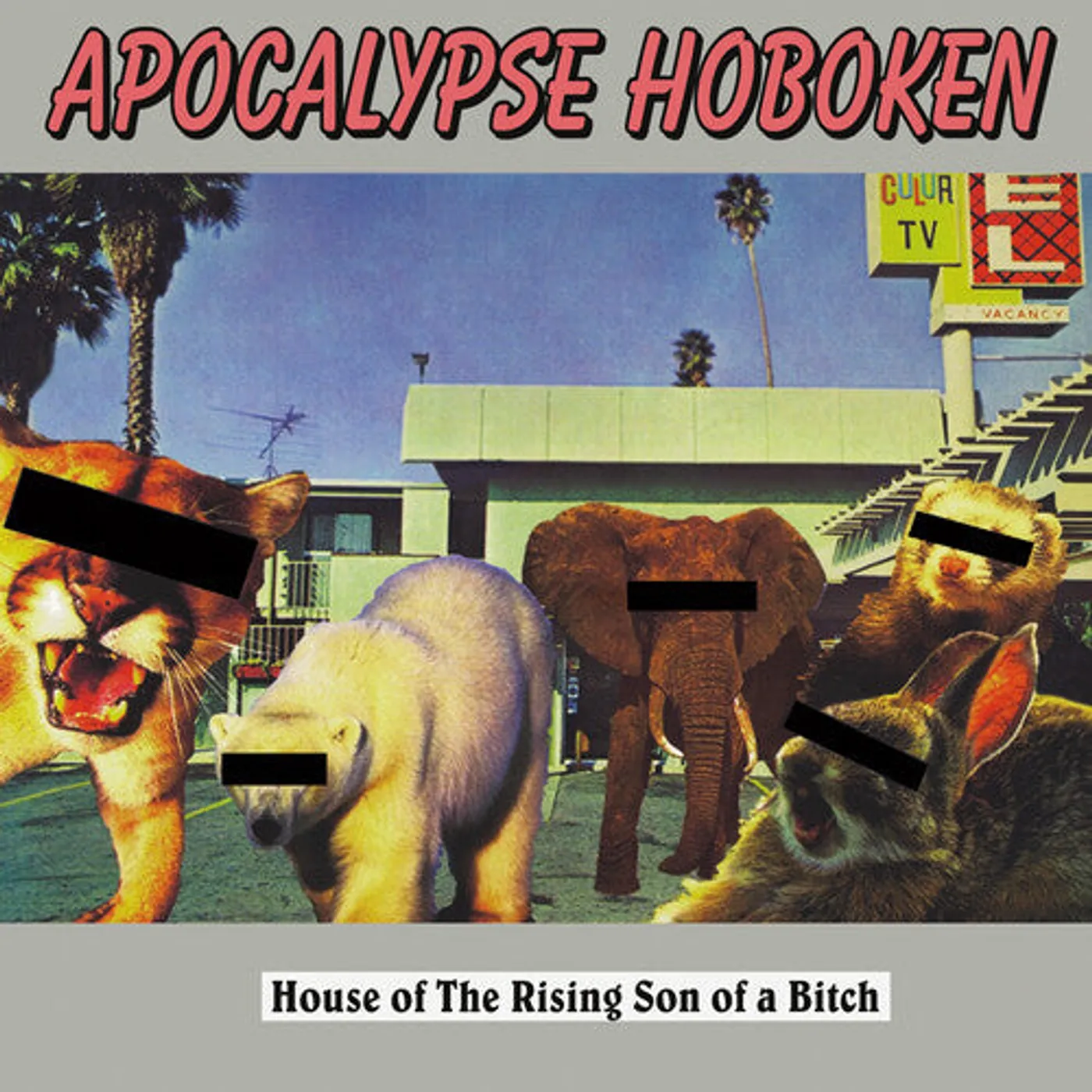 Apocalypse Hoboken LP Vinyl - House Of The Rising Son Of A Bitch - Silver (Colv)