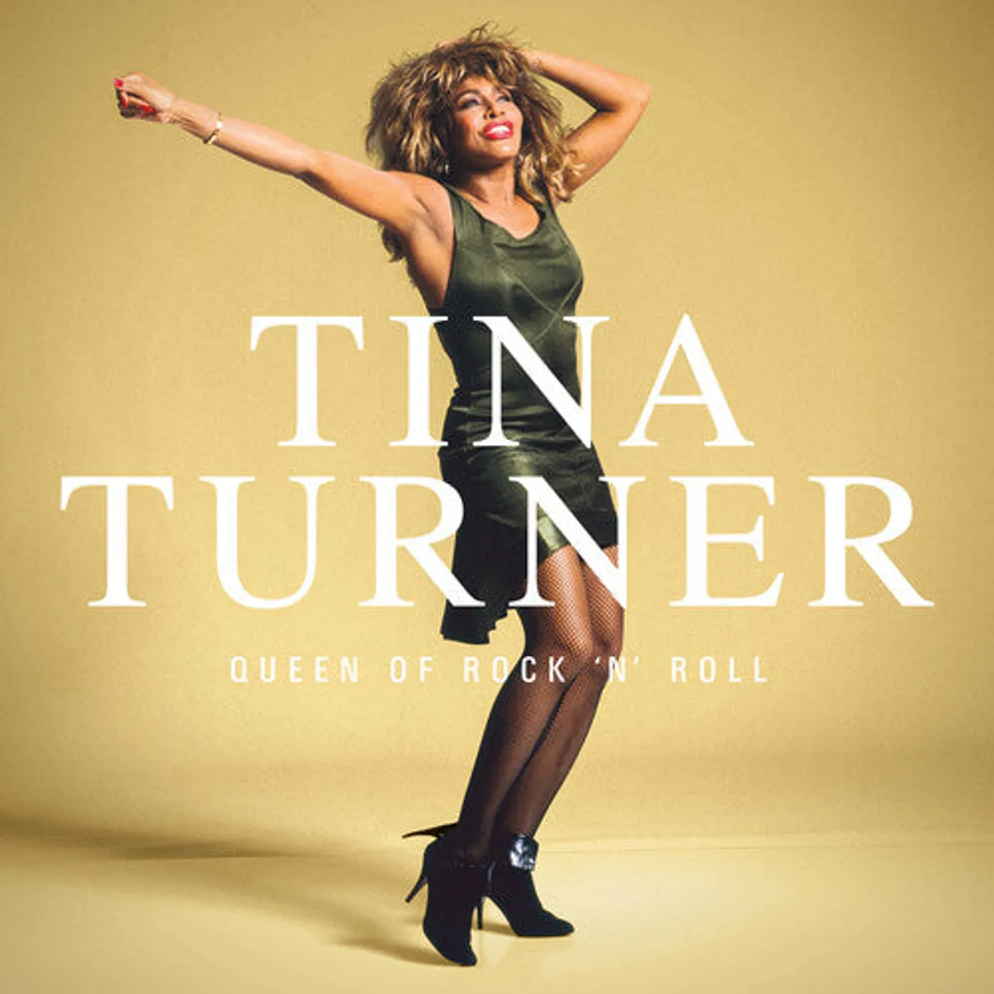 Tina Turner LP Vinyl - Queen Of Rock N Roll (Colv)