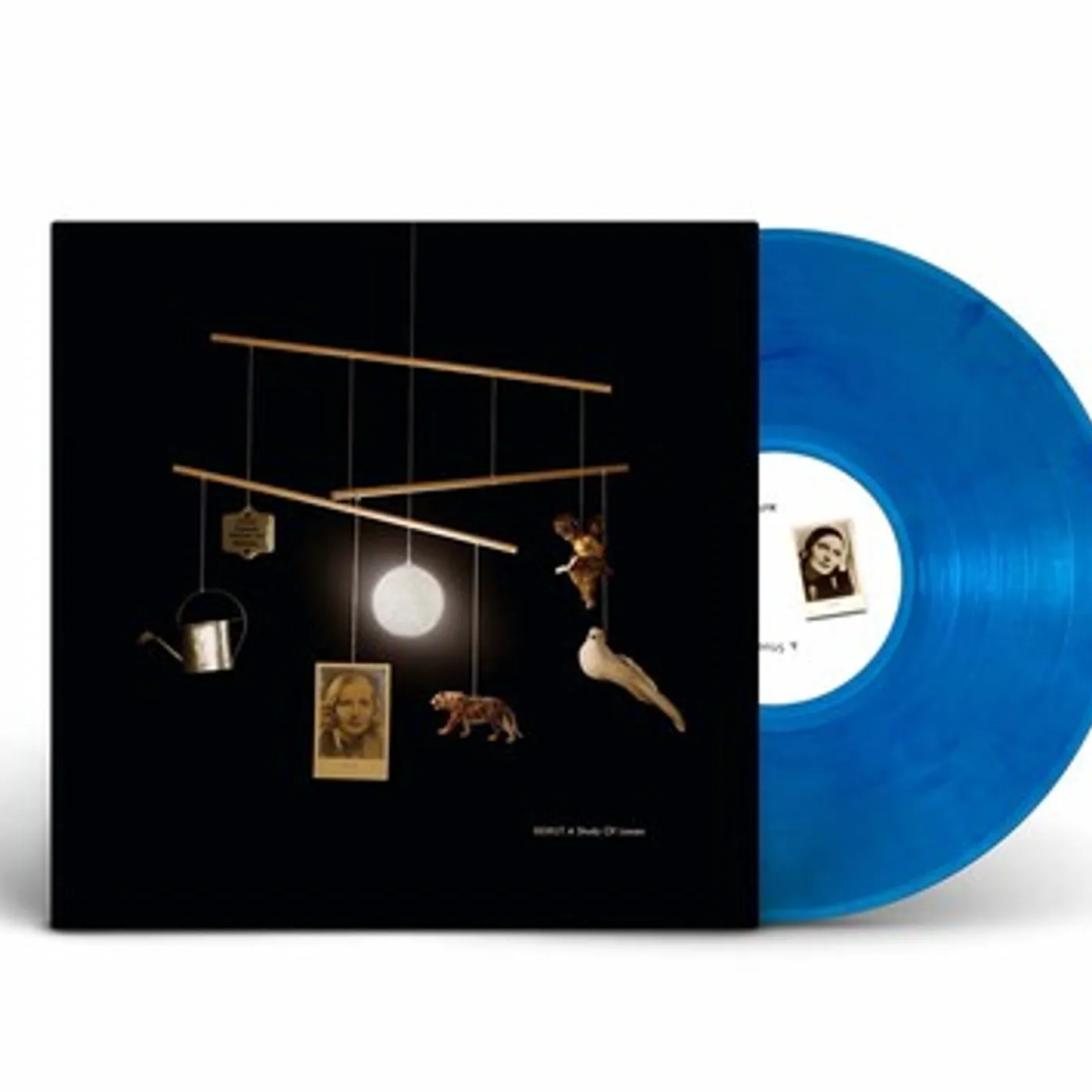 Beirut LP Vinyl - Study Of Losses - Blue (Blue) (Colv)