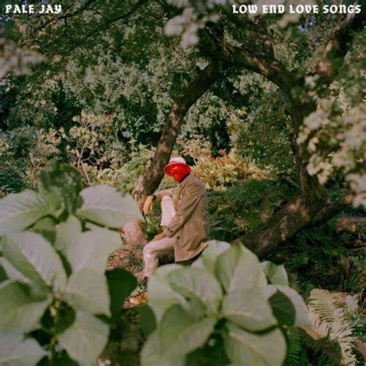 Pale Jay LP Vinyl - Low End Love Songs - Storm Cloud Grey (Colv) (Gry)