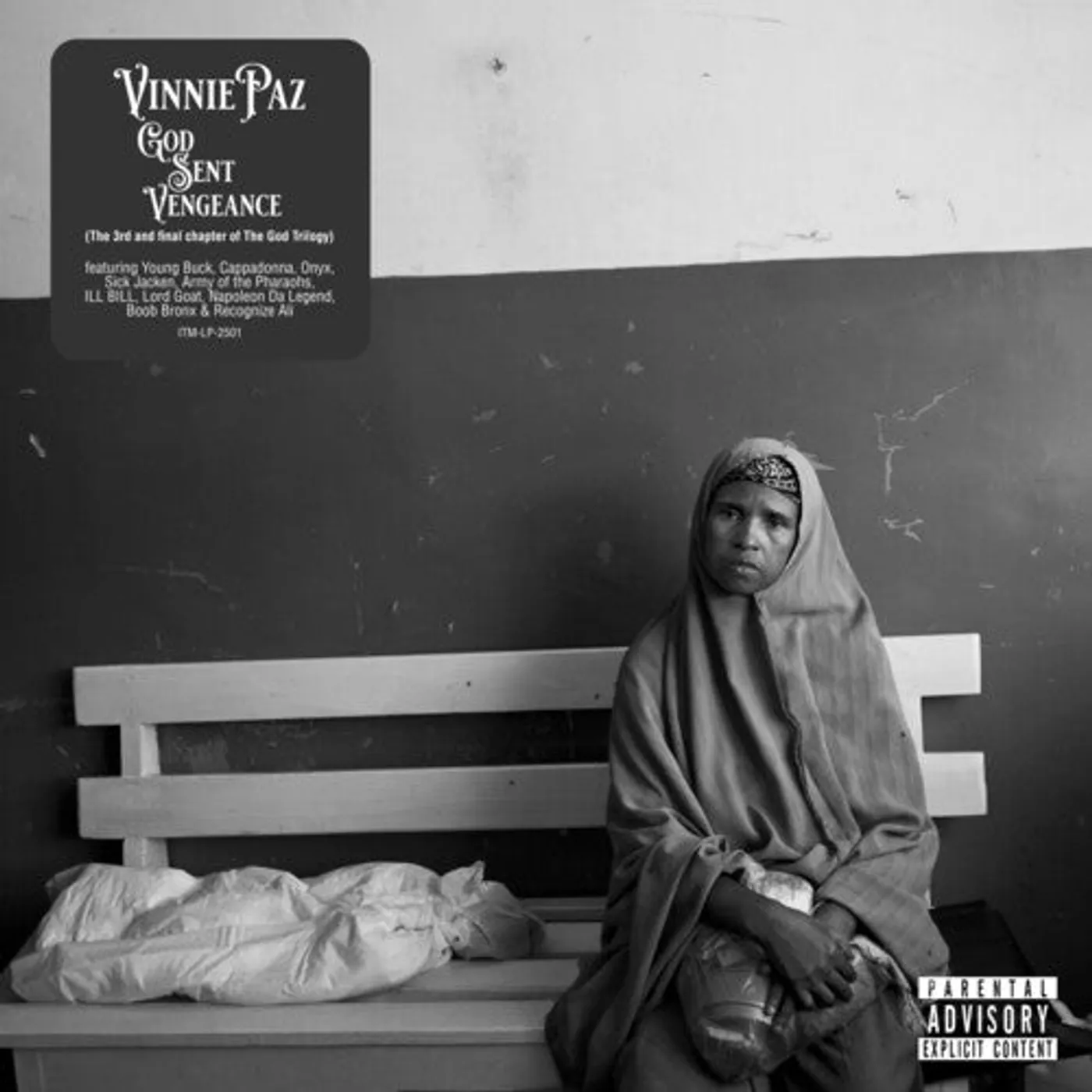 Vinnie Paz LP Vinyl - God Sent Vengeance (Colv)