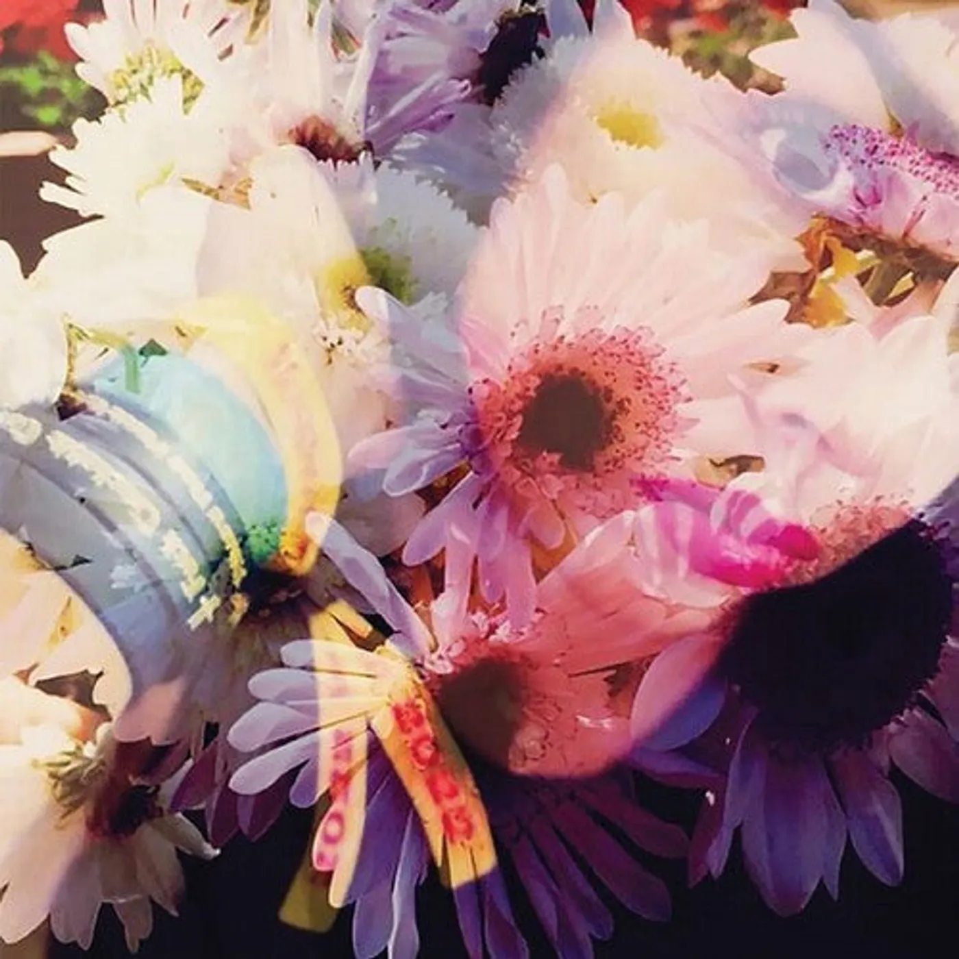 The Veldt LP Vinyl - Illuminated 1989 (Colv) (Ofgv) (Pnk) (Purp) (Dlcd)