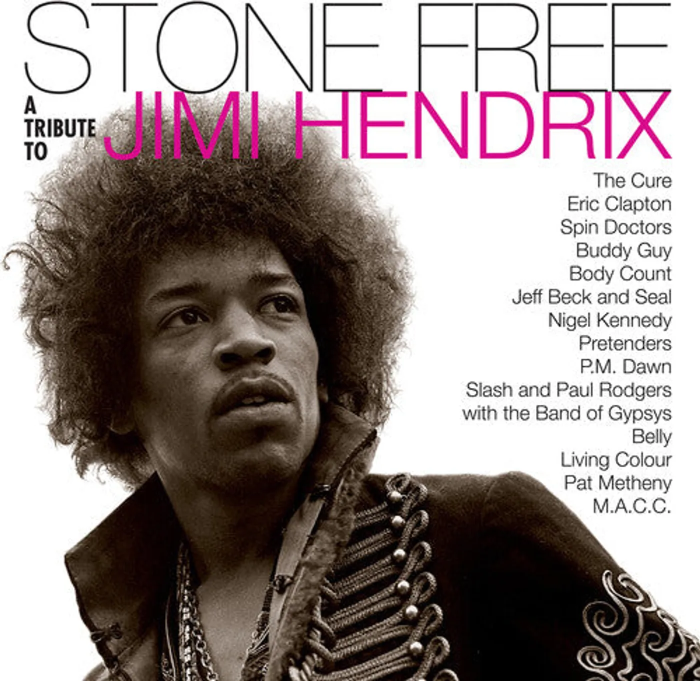 Jimmy Tribute Hendrix