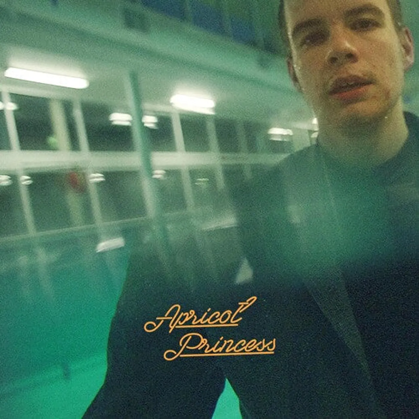 Rex Orange County LP Vinyl - Apricot Princess (Colv) (Org)