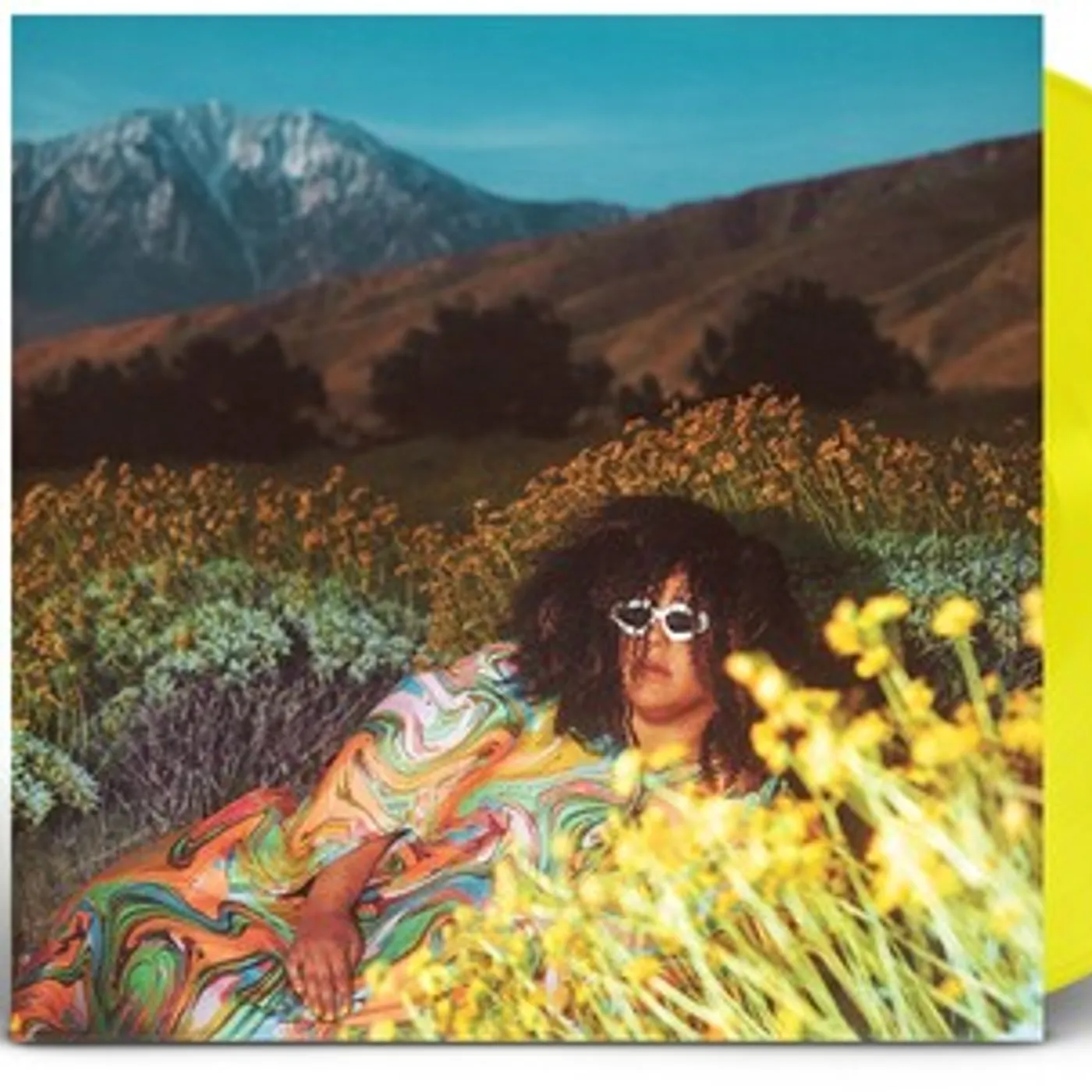 Brittany Howard LP Vinyl - What Now (Colv) (Cvnl)