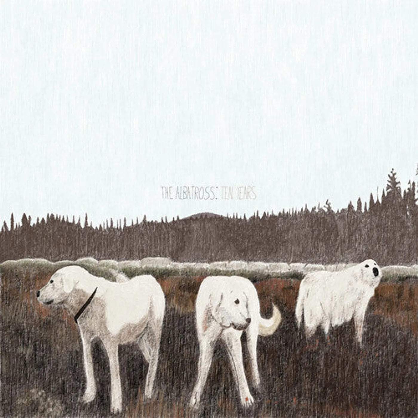 Foxing LP Vinyl - Albatross: Ten Years (Brwn) (Colv)