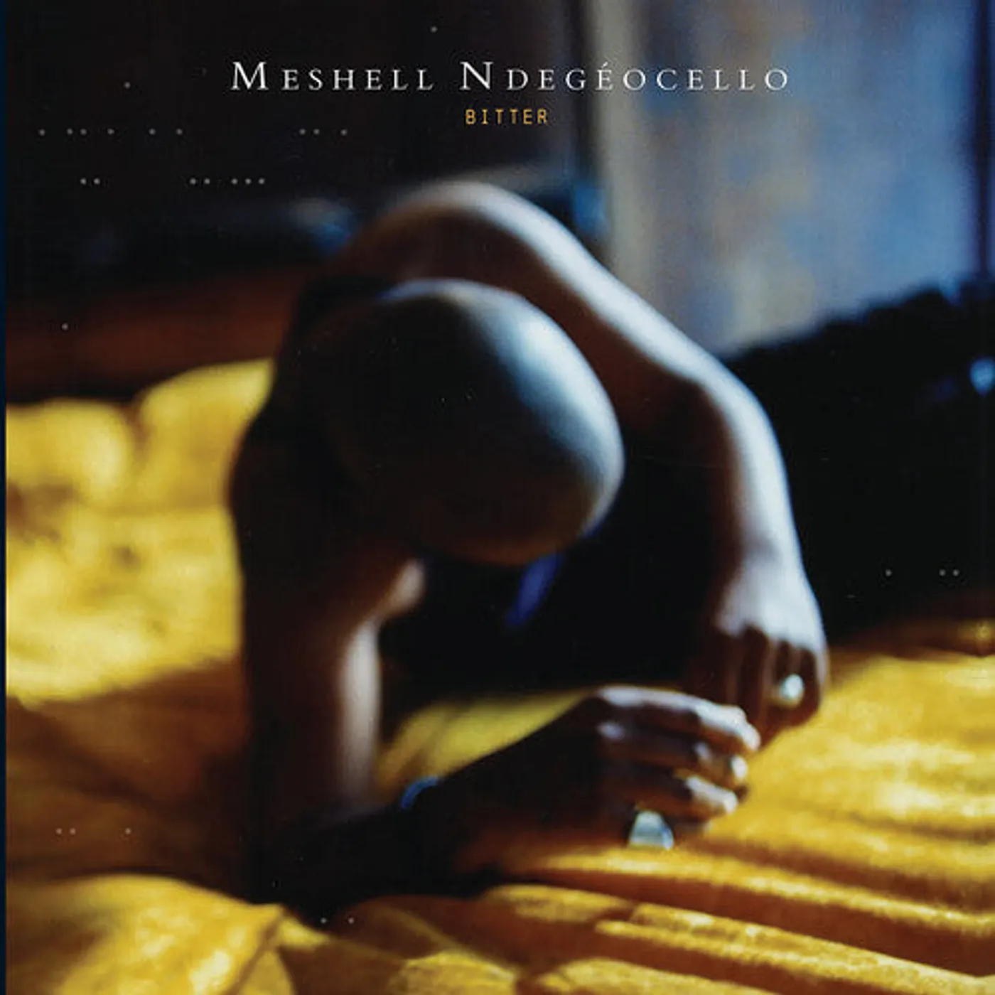 Me'Shell Ndegeocello