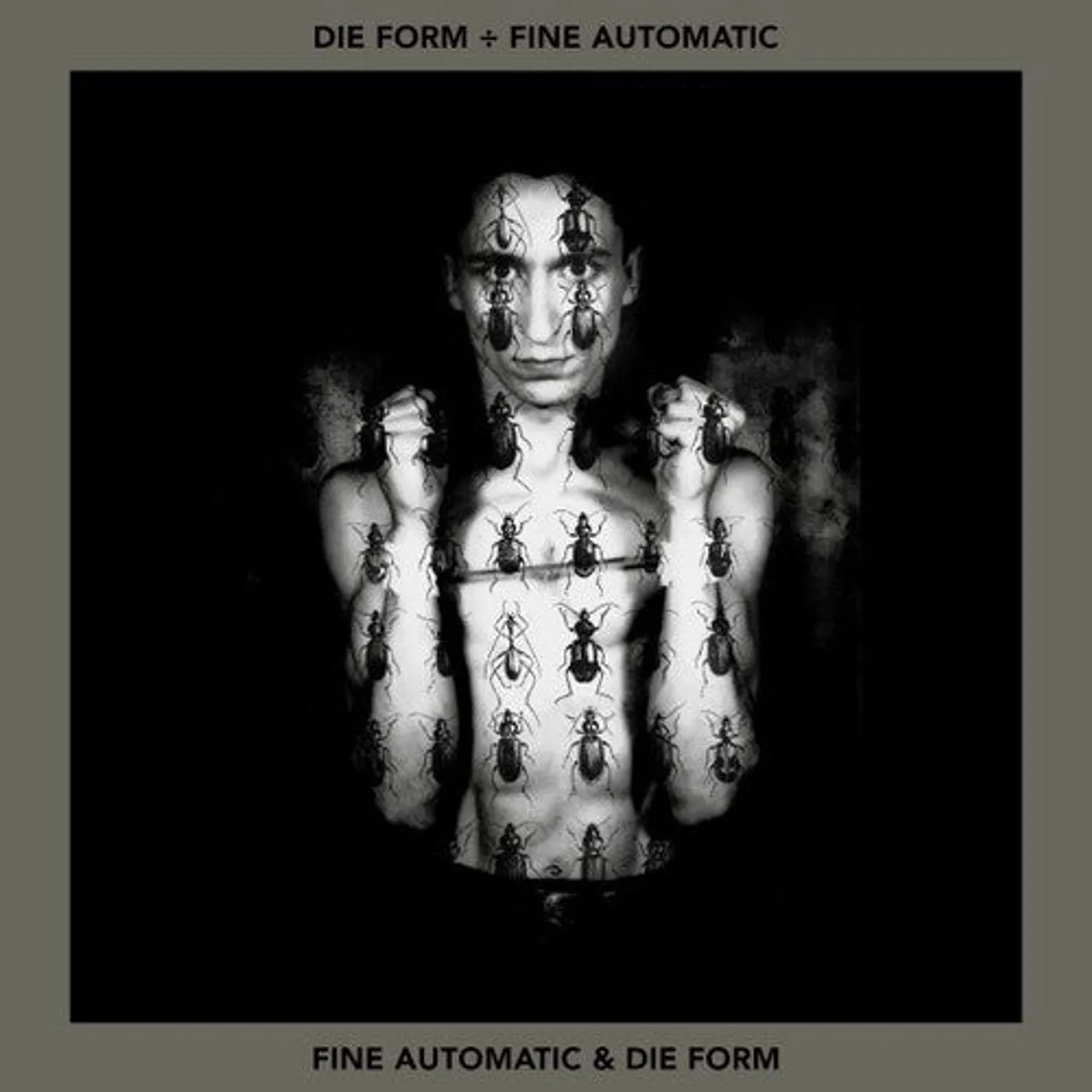 Die Form & Fine Automatic