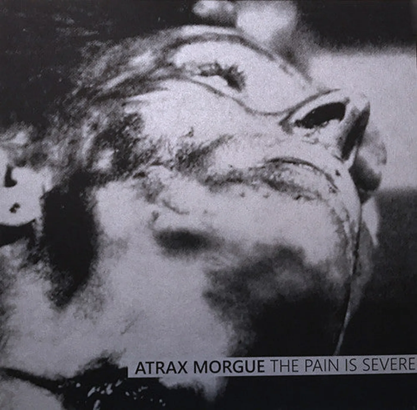 ATRAX MORGUE