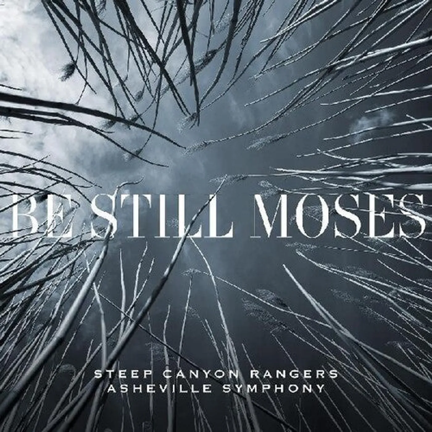 Steep Canyon Rangers & Asheville Symphony