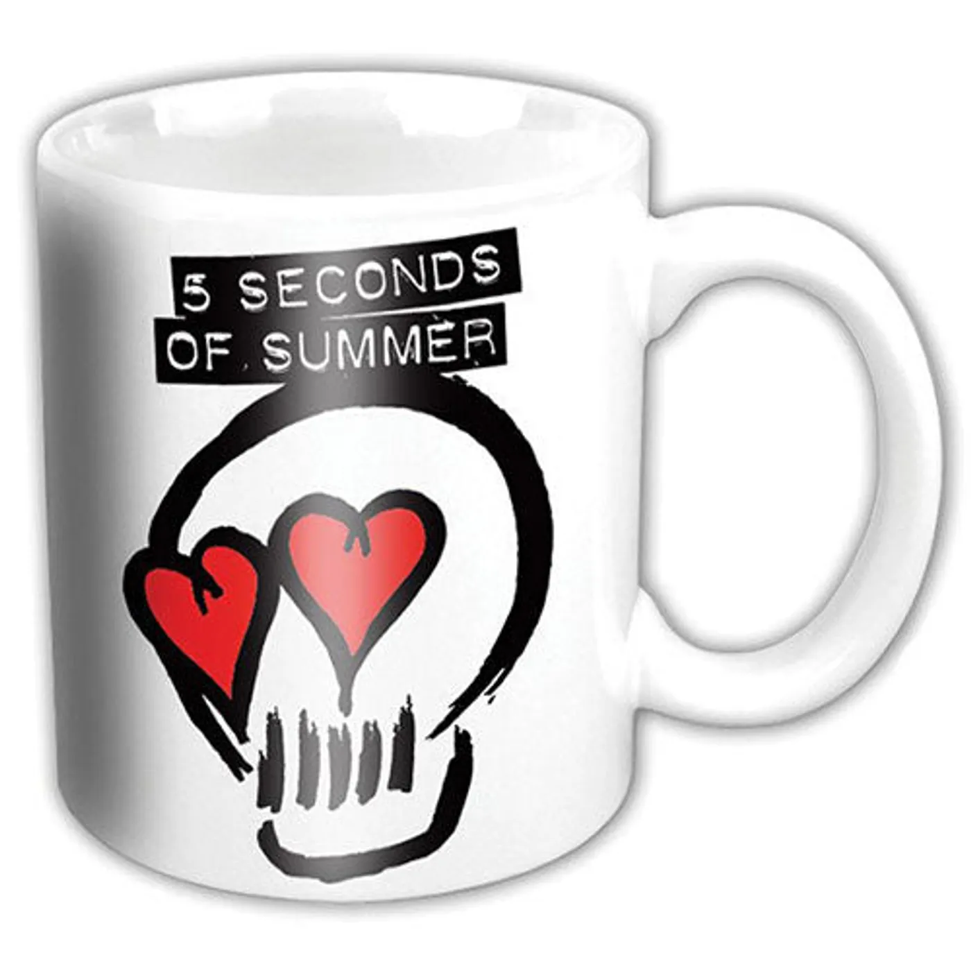 5 Seconds of Summer Matte Mugs - Logo