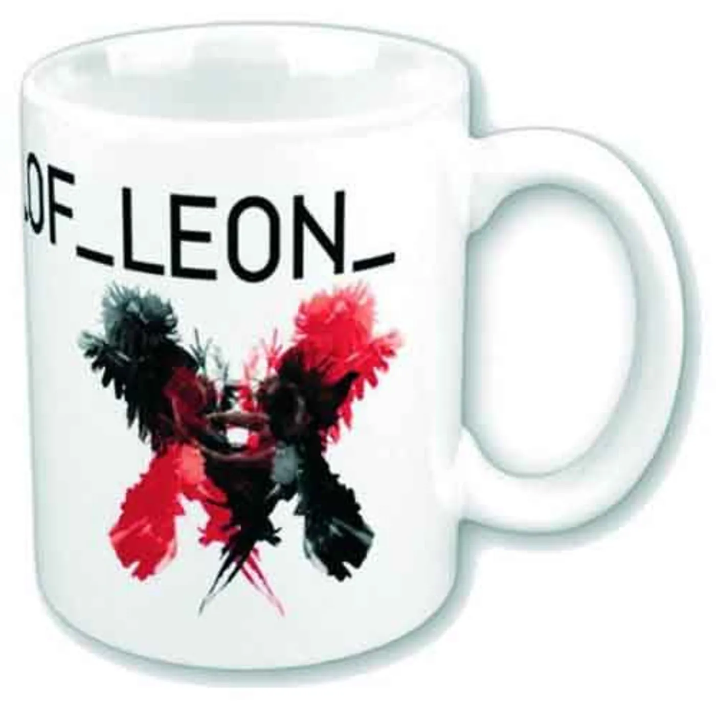Kings of Leon Matte Mugs - 13 Fridge