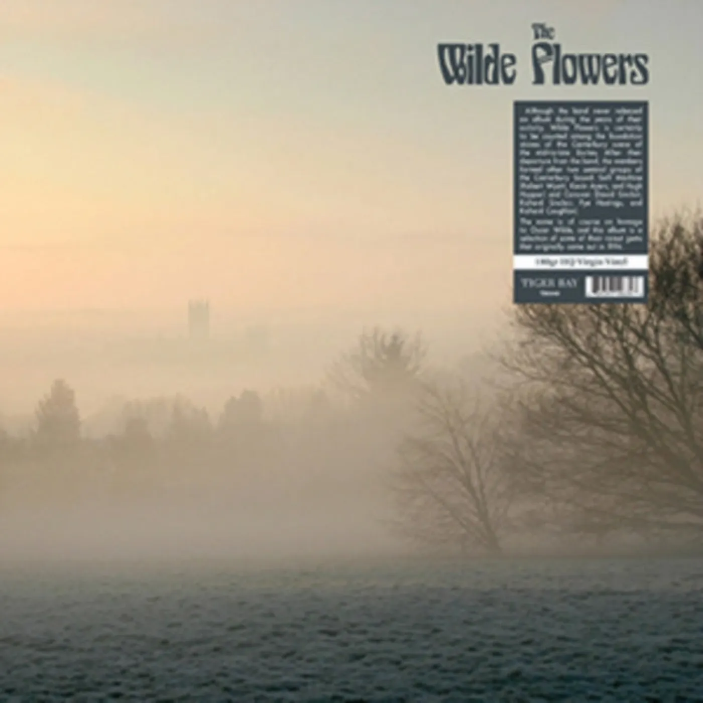 Wilde Flowers LP Vinyl Record - The Wilde Flowers