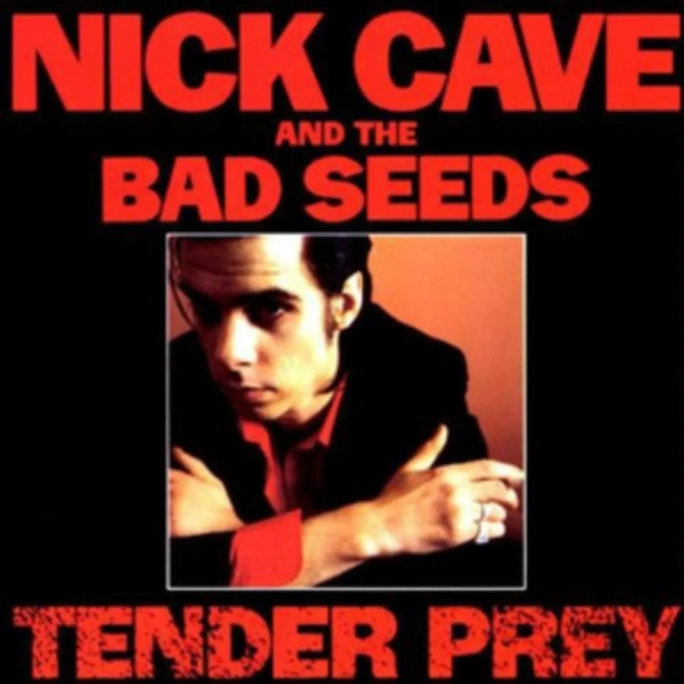 Nick Cave & The Bad Seeds LP Vinyl Record - Tender Prey