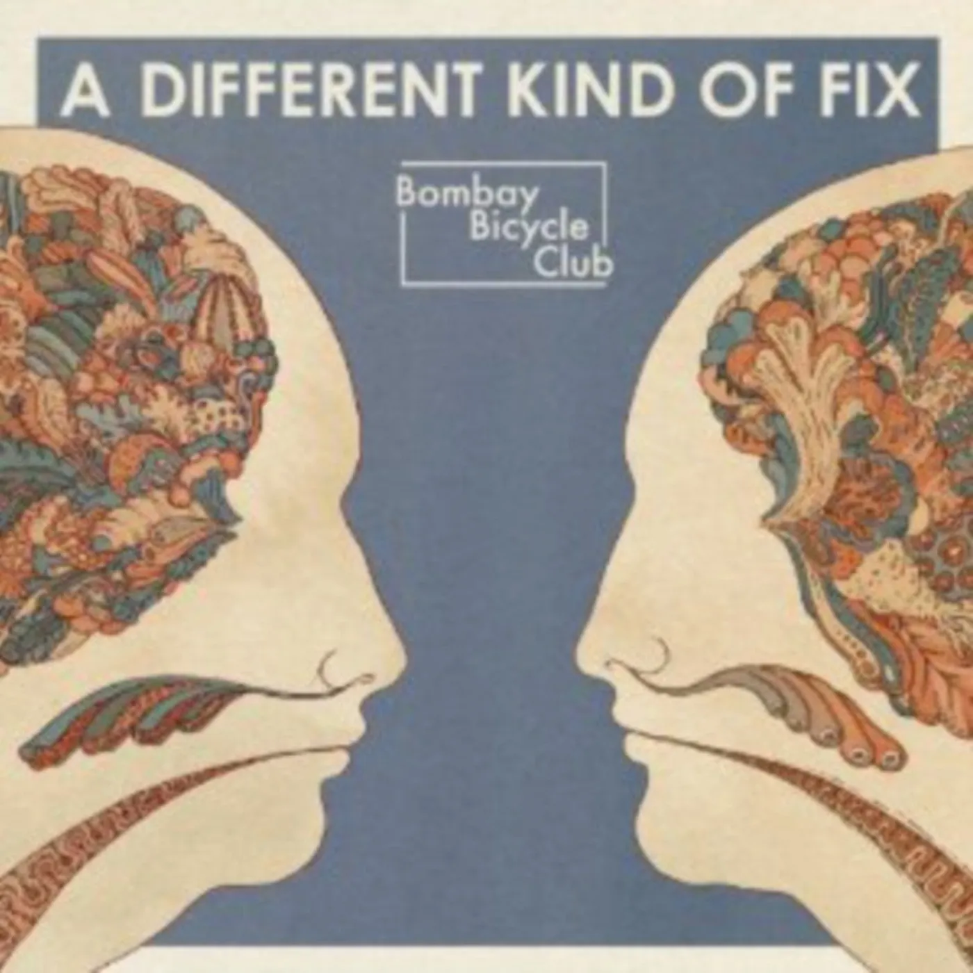 Bombay Bicycle Club LP Vinyl Record - A Different Kind Of Fix