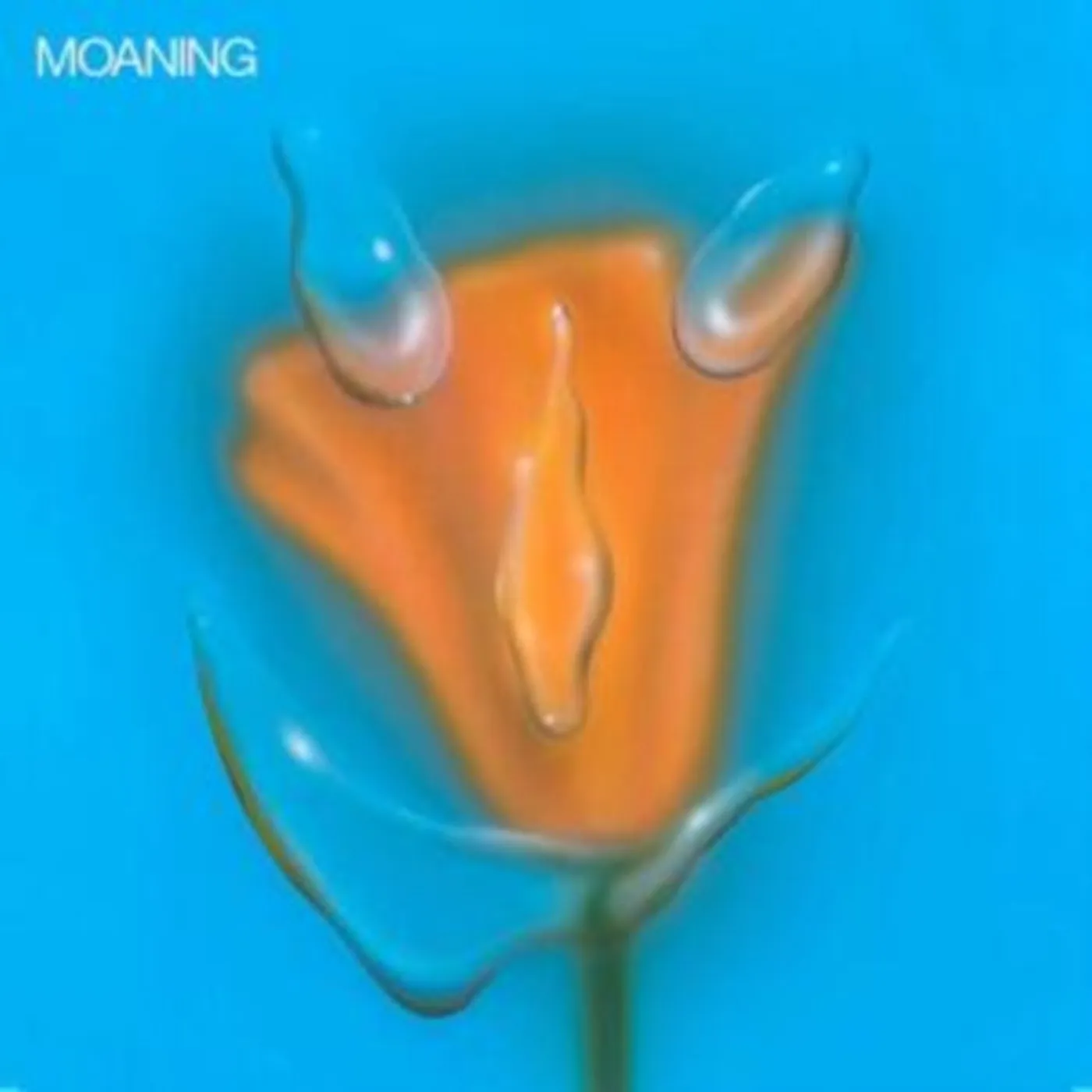 Moaning LP Vinyl Record - Uneasy Laughter