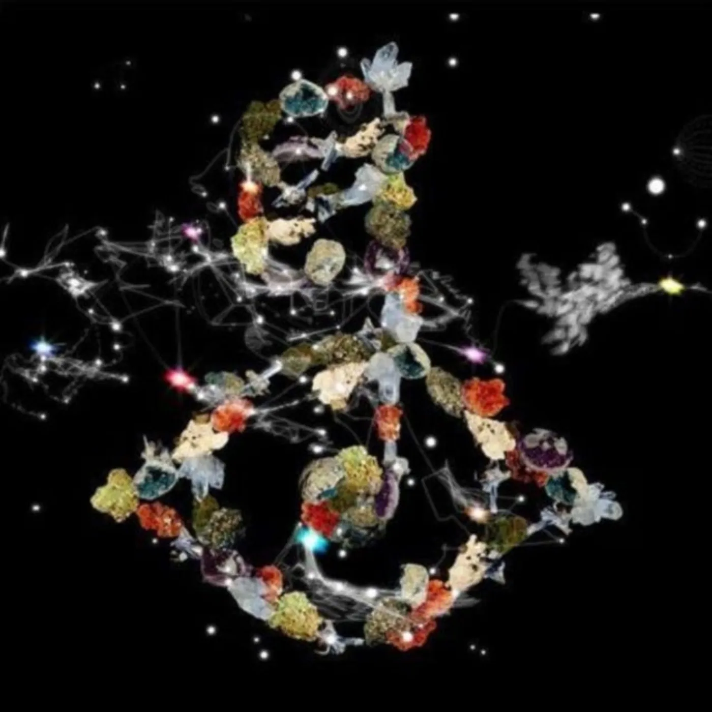 Björk LP - Biophilia (Vinyl)